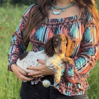 AKC Twix, a male Miniature Dachshund for sale in Bonne Terre, MO – 8 of 10