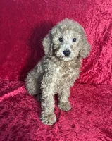 processed/ce12e81d-a651-46c9-b364-0054662e6359/listing/c3d8ac17-5288-4d26-b0b3-c37672fd160d/23ea7d06-c5f7-4419-9a07-79ff1db5f17a