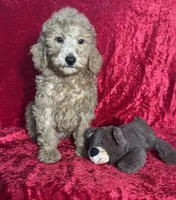 processed/ce12e81d-a651-46c9-b364-0054662e6359/listing/c3d8ac17-5288-4d26-b0b3-c37672fd160d/249dc17a-7bed-451e-a06d-9c4be42e4fde