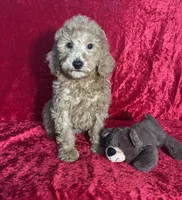 processed/ce12e81d-a651-46c9-b364-0054662e6359/listing/c3d8ac17-5288-4d26-b0b3-c37672fd160d/8813f6d0-918e-4b5c-8e09-0103050bf8f7