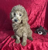 processed/ce12e81d-a651-46c9-b364-0054662e6359/listing/c3d8ac17-5288-4d26-b0b3-c37672fd160d/8f56e5be-6b09-402c-ae67-6c029143daca