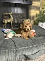 processed/ce12e81d-a651-46c9-b364-0054662e6359/listing/c3d8ac17-5288-4d26-b0b3-c37672fd160d/c2e899e8-0fb2-4f9d-abd5-7b33c962d433