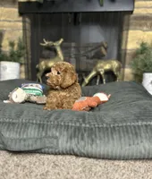 processed/ce12e81d-a651-46c9-b364-0054662e6359/listing/c3d8ac17-5288-4d26-b0b3-c37672fd160d/cea156e2-df4f-4a3b-bb02-251b91146992