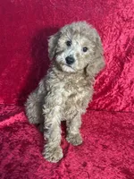 processed/ce12e81d-a651-46c9-b364-0054662e6359/listing/c3d8ac17-5288-4d26-b0b3-c37672fd160d/d0226b27-2f0c-4d1f-b7da-3e089bc7f58a