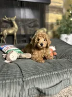 processed/ce12e81d-a651-46c9-b364-0054662e6359/listing/c3d8ac17-5288-4d26-b0b3-c37672fd160d/f5974495-f9c0-4a57-89ab-15729d9a78df