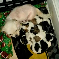 processed/ce20c31e-9471-465d-aee1-ff0e4e68f004/listing/349aacc7-5518-4a59-9f6a-7f137011be4c/31ff2c3a-24a6-4844-8a1e-cd2a3eda5ebf