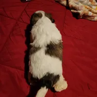 processed/ce20c31e-9471-465d-aee1-ff0e4e68f004/listing/349aacc7-5518-4a59-9f6a-7f137011be4c/aebb78cb-0f81-4764-a503-37f0f5b5bcf2