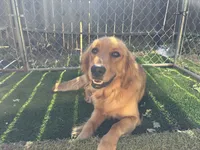 processed/ce22b508-765f-4d0b-8a89-3b63e5b11841/facility/12ad2833-db7f-4cb1-9f9a-e96b59e4f121