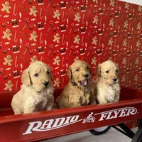 processed/ce22b508-765f-4d0b-8a89-3b63e5b11841/facility/6724631a-17b9-43b0-857d-20051eb395c2