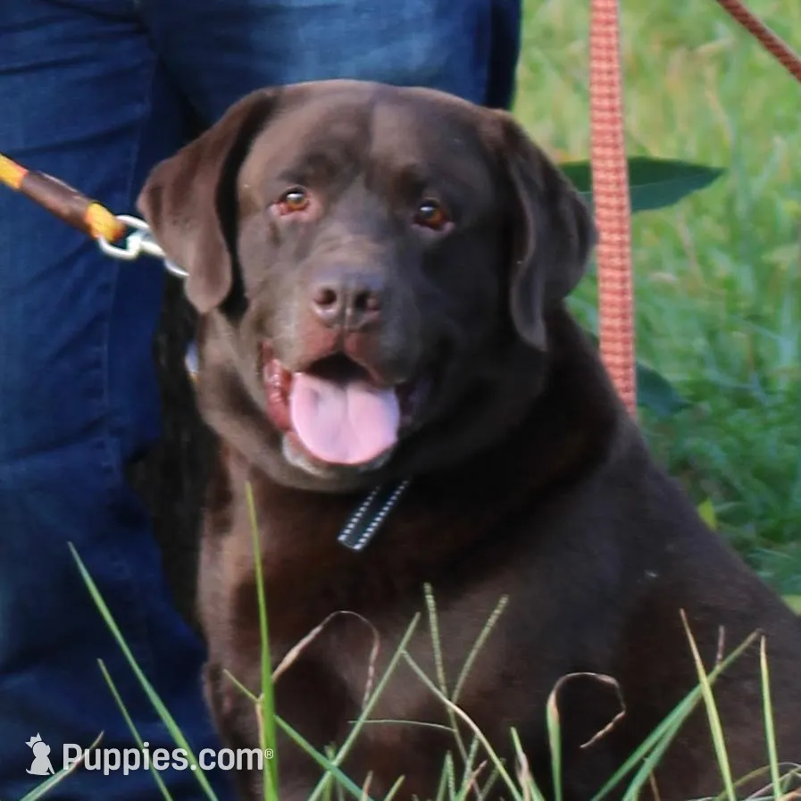 processed/ce249c0a-6682-46fe-8a5e-981937730e6d/listing/15a708da-a076-49c2-9725-c07090ec8085/7f7a4af8-6d61-4d11-b5b0-c291a6b3ef9a