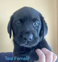 processed/ce249c0a-6682-46fe-8a5e-981937730e6d/listing/15a708da-a076-49c2-9725-c07090ec8085/980188e3-16a3-4f76-a36d-cb02bdc82907