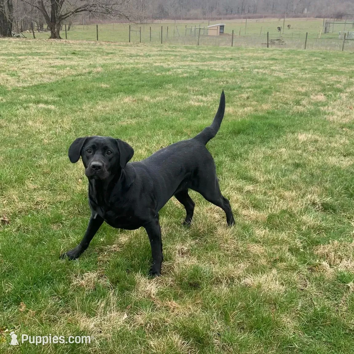 processed/ce249c0a-6682-46fe-8a5e-981937730e6d/listing/15a708da-a076-49c2-9725-c07090ec8085/eef38a58-7db0-4a2c-a9af-d140decd9106