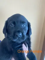 processed/ce249c0a-6682-46fe-8a5e-981937730e6d/listing/5256e4bf-65b3-4dd8-a30c-4458d7b67cf6/39fe66a5-f3c6-42fd-b57a-a235dc941940