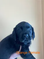 processed/ce249c0a-6682-46fe-8a5e-981937730e6d/listing/5256e4bf-65b3-4dd8-a30c-4458d7b67cf6/88999789-846a-4eac-bff4-e35e2610f07b