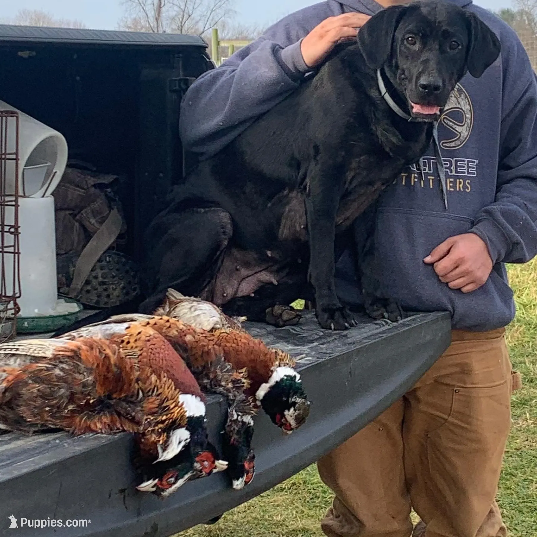 processed/ce249c0a-6682-46fe-8a5e-981937730e6d/listing/5256e4bf-65b3-4dd8-a30c-4458d7b67cf6/ad0b5814-e211-4c07-82c0-34bf84b219c3