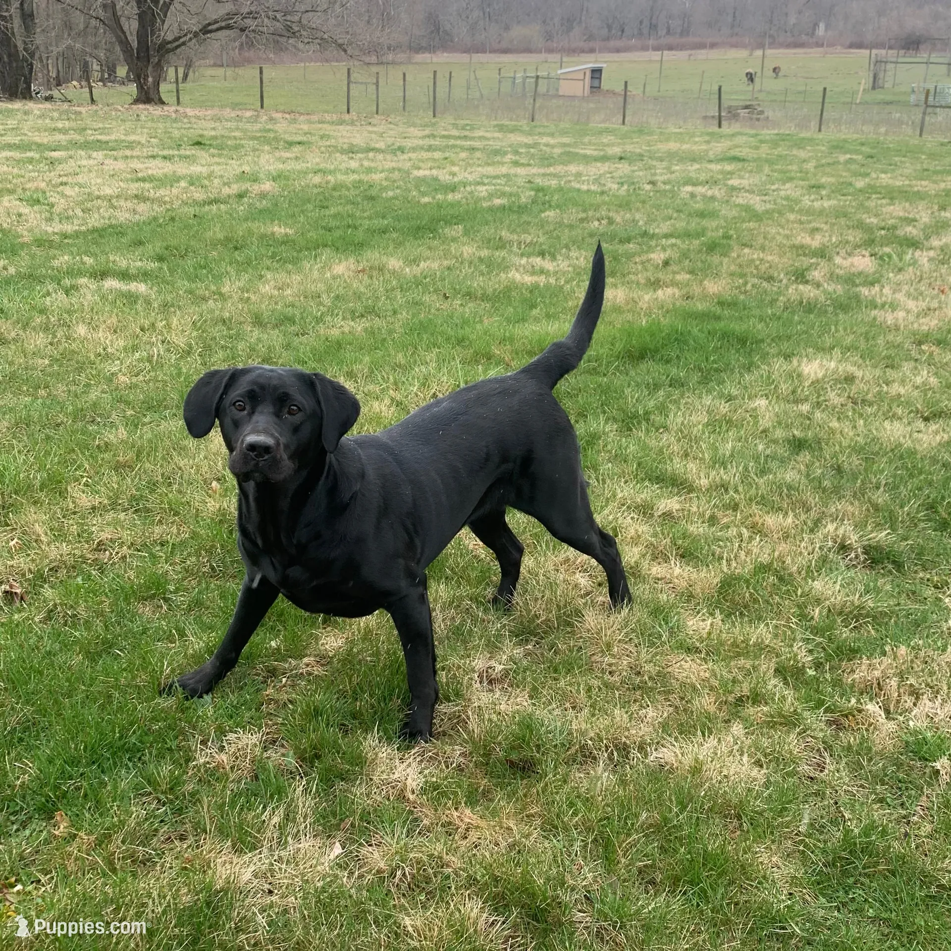 processed/ce249c0a-6682-46fe-8a5e-981937730e6d/listing/5256e4bf-65b3-4dd8-a30c-4458d7b67cf6/e54c1c18-16c0-4c36-81ad-525e5d39a95d