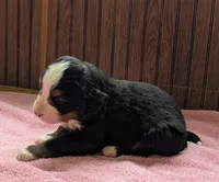 processed/ce2953b4-39e8-4517-8a51-6909fd0d134c/listing/18e393f1-e61d-46a8-9af8-7aa1efd5a22e/7455b484-496e-407a-8cba-338626c1e64a