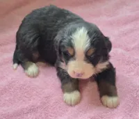 processed/ce2953b4-39e8-4517-8a51-6909fd0d134c/listing/18e393f1-e61d-46a8-9af8-7aa1efd5a22e/acb5cc93-a912-4cd5-9854-a9147081ae77