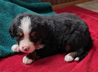 processed/ce2953b4-39e8-4517-8a51-6909fd0d134c/listing/18e393f1-e61d-46a8-9af8-7aa1efd5a22e/b3af46d1-6e93-48e0-a2b7-a843c73aa0d8