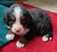 processed/ce2953b4-39e8-4517-8a51-6909fd0d134c/listing/18e393f1-e61d-46a8-9af8-7aa1efd5a22e/cf7ad27d-dffe-433e-85e9-4587063a0ba9