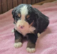 processed/ce2953b4-39e8-4517-8a51-6909fd0d134c/listing/18e393f1-e61d-46a8-9af8-7aa1efd5a22e/f300d3af-1d26-4683-9bbb-3359e99bcd2a