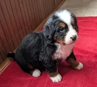 processed/ce2953b4-39e8-4517-8a51-6909fd0d134c/listing/90198a01-af9c-4ac9-b21d-cf2415d26e8c/2e4e203f-3cbf-4383-816b-8a3c3c7abaac