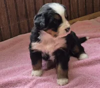 processed/ce2953b4-39e8-4517-8a51-6909fd0d134c/listing/90198a01-af9c-4ac9-b21d-cf2415d26e8c/3b2d6b6d-f0ec-4b5a-bde9-0dfff1478df4