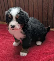 processed/ce2953b4-39e8-4517-8a51-6909fd0d134c/listing/90198a01-af9c-4ac9-b21d-cf2415d26e8c/95fb1a69-a61b-4036-a778-15758f96fc1b