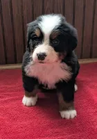 processed/ce2953b4-39e8-4517-8a51-6909fd0d134c/listing/90198a01-af9c-4ac9-b21d-cf2415d26e8c/aa942df8-26ff-4163-aac8-fb6f15e31948