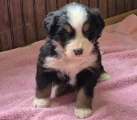 processed/ce2953b4-39e8-4517-8a51-6909fd0d134c/listing/90198a01-af9c-4ac9-b21d-cf2415d26e8c/d876a32d-4920-4c0b-9863-7ef3c53c9112