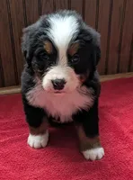 processed/ce2953b4-39e8-4517-8a51-6909fd0d134c/listing/90198a01-af9c-4ac9-b21d-cf2415d26e8c/f709f620-f202-4e5d-a572-602c629f53ab