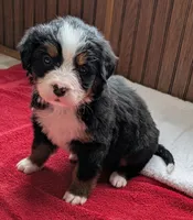 processed/ce2953b4-39e8-4517-8a51-6909fd0d134c/listing/9ca568c9-0c97-4b13-9434-1d9fa2b83607/1c9a7a63-d759-4698-a9a7-64bfb0c8325b