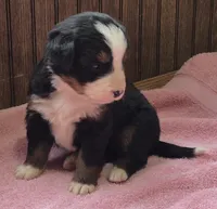 processed/ce2953b4-39e8-4517-8a51-6909fd0d134c/listing/9ca568c9-0c97-4b13-9434-1d9fa2b83607/d1588634-bf4f-418a-a7c0-e65873fda787