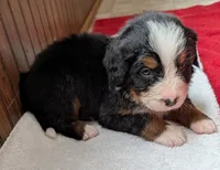 processed/ce2953b4-39e8-4517-8a51-6909fd0d134c/listing/9ca568c9-0c97-4b13-9434-1d9fa2b83607/ea806914-80a5-4133-93dd-f5d638198c62