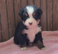 processed/ce2953b4-39e8-4517-8a51-6909fd0d134c/listing/9ca568c9-0c97-4b13-9434-1d9fa2b83607/f2071c02-21cf-473f-a296-80d73030c2a4