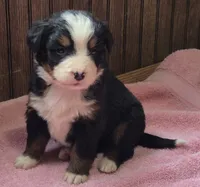 processed/ce2953b4-39e8-4517-8a51-6909fd0d134c/listing/9ca568c9-0c97-4b13-9434-1d9fa2b83607/f704862c-6832-454e-b7f1-27594af3ce79