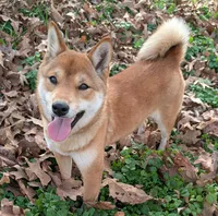 processed/ce2953b4-39e8-4517-8a51-6909fd0d134c/listing/e7026261-cc33-4e83-8ffa-ba757f6caf8d/e3460f89-bea1-4c74-b71b-5ba82abf14fd