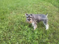 processed/ce29d897-8a59-4385-ac2e-dba2bd23b4f5/facility/6590e026-b60b-4ea2-a6e8-04b24b9bcf5a