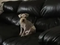 processed/ce29d897-8a59-4385-ac2e-dba2bd23b4f5/facility/eb80a686-3da0-4905-a0bf-50374c6842b6