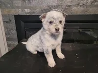 processed/ce303abc-3ebb-4df4-b184-c165e7136456/listing/33bef6d4-6ffe-40fd-9066-20b651b1abe2/80a9b8cc-7949-4aec-8f0a-406f9deca153