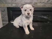 processed/ce303abc-3ebb-4df4-b184-c165e7136456/listing/33bef6d4-6ffe-40fd-9066-20b651b1abe2/831af6ab-bf91-4fd1-bf02-afa658e94bb4