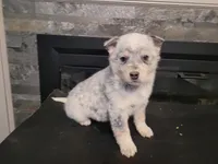 processed/ce303abc-3ebb-4df4-b184-c165e7136456/listing/33bef6d4-6ffe-40fd-9066-20b651b1abe2/c7735282-dafb-4757-993e-44bc1b1877d0