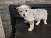 processed/ce303abc-3ebb-4df4-b184-c165e7136456/listing/33bef6d4-6ffe-40fd-9066-20b651b1abe2/ffe9ad33-4f25-44c2-bc7d-d9f94d46d406