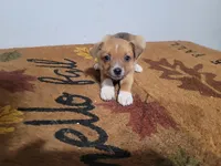 processed/ce303abc-3ebb-4df4-b184-c165e7136456/listing/40701911-6ab3-44a0-8871-495594253374/13aff644-1d36-4ee5-8855-8eac2e38d7cf