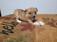 processed/ce303abc-3ebb-4df4-b184-c165e7136456/listing/40701911-6ab3-44a0-8871-495594253374/a303befd-c238-49be-baf5-f1b69c0c3548