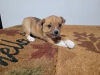 processed/ce303abc-3ebb-4df4-b184-c165e7136456/listing/40701911-6ab3-44a0-8871-495594253374/be907fe3-5969-434f-9351-27fec1cc942f