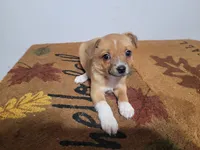 processed/ce303abc-3ebb-4df4-b184-c165e7136456/listing/40701911-6ab3-44a0-8871-495594253374/c5a4b03b-5413-487f-9956-bf6ff6fc9d03