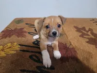 processed/ce303abc-3ebb-4df4-b184-c165e7136456/listing/40701911-6ab3-44a0-8871-495594253374/fea85f92-f955-4a0c-9d98-aefa4b3429c3