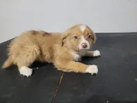 processed/ce303abc-3ebb-4df4-b184-c165e7136456/listing/c28a9239-c496-4fc8-8869-0aeab094ce34/fc8ba4c9-addd-42c8-b06a-0bebb4528a90