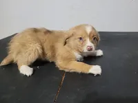 processed/ce303abc-3ebb-4df4-b184-c165e7136456/listing/c28a9239-c496-4fc8-8869-0aeab094ce34/fd4cdb65-c8c0-4a19-ac57-ad8f5b764647